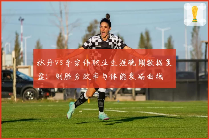 林丹vs李宗伟职业生涯晚期数据复盘：制胜分效率与体能衰减曲线