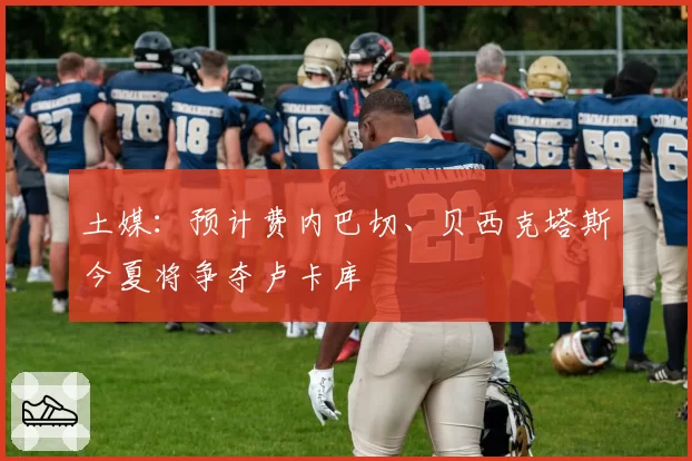 土媒:预计费内巴切、贝西克塔斯今夏将争夺卢卡库