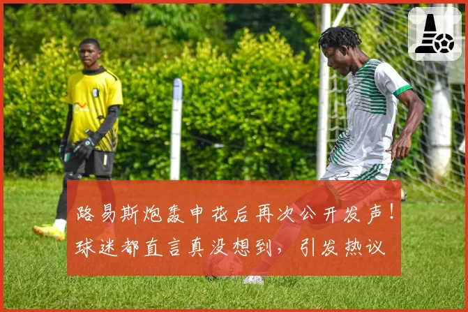 路易斯炮轰申花后再次公开发声！球迷都直言真没想到，引发热议